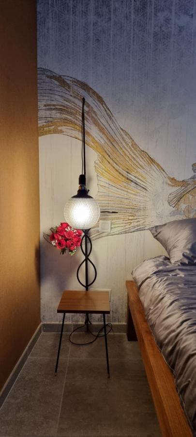 Logies La Chevre Folle - Lodging & Cooking In Style With Shared Kitchen Oostende Buitenkant foto